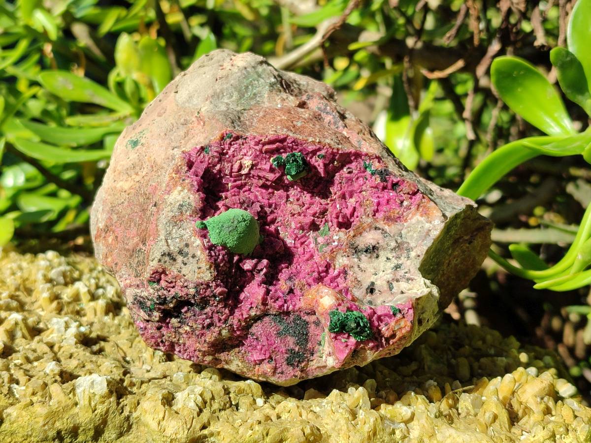 Natural Drusy Salrose on Dolomite Matrix Specimens x 2 From Kakanda, Congo - Toprock Gemstones and Minerals 