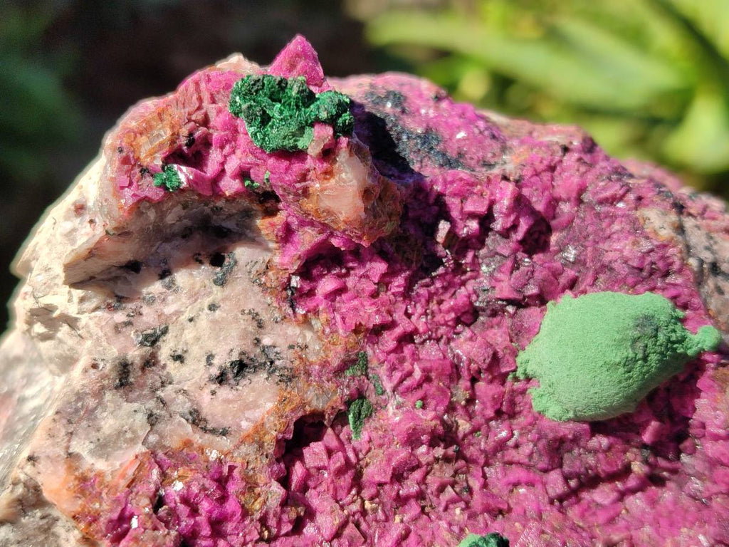 Natural Drusy Salrose on Dolomite Matrix Specimens x 2 From Kakanda, Congo - Toprock Gemstones and Minerals 