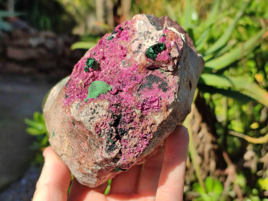 Natural Drusy Salrose on Dolomite Matrix Specimens x 2 From Kakanda, Congo - Toprock Gemstones and Minerals 