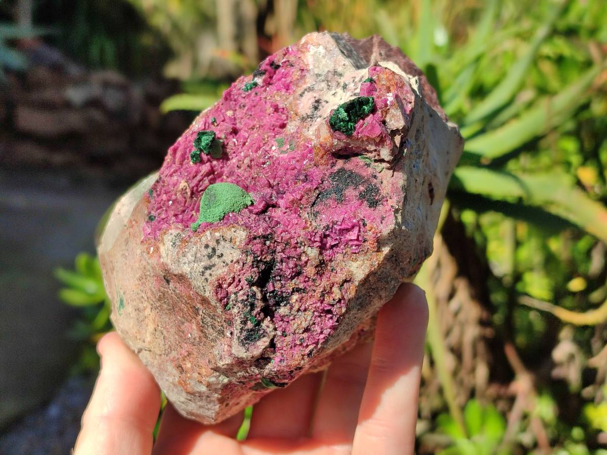 Natural Drusy Salrose on Dolomite Matrix Specimens x 2 From Kakanda, Congo - Toprock Gemstones and Minerals 
