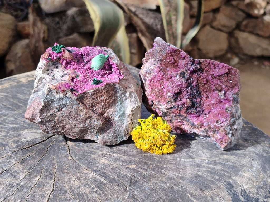 Natural Drusy Salrose on Dolomite Matrix Specimens x 2 From Kakanda, Congo - Toprock Gemstones and Minerals 