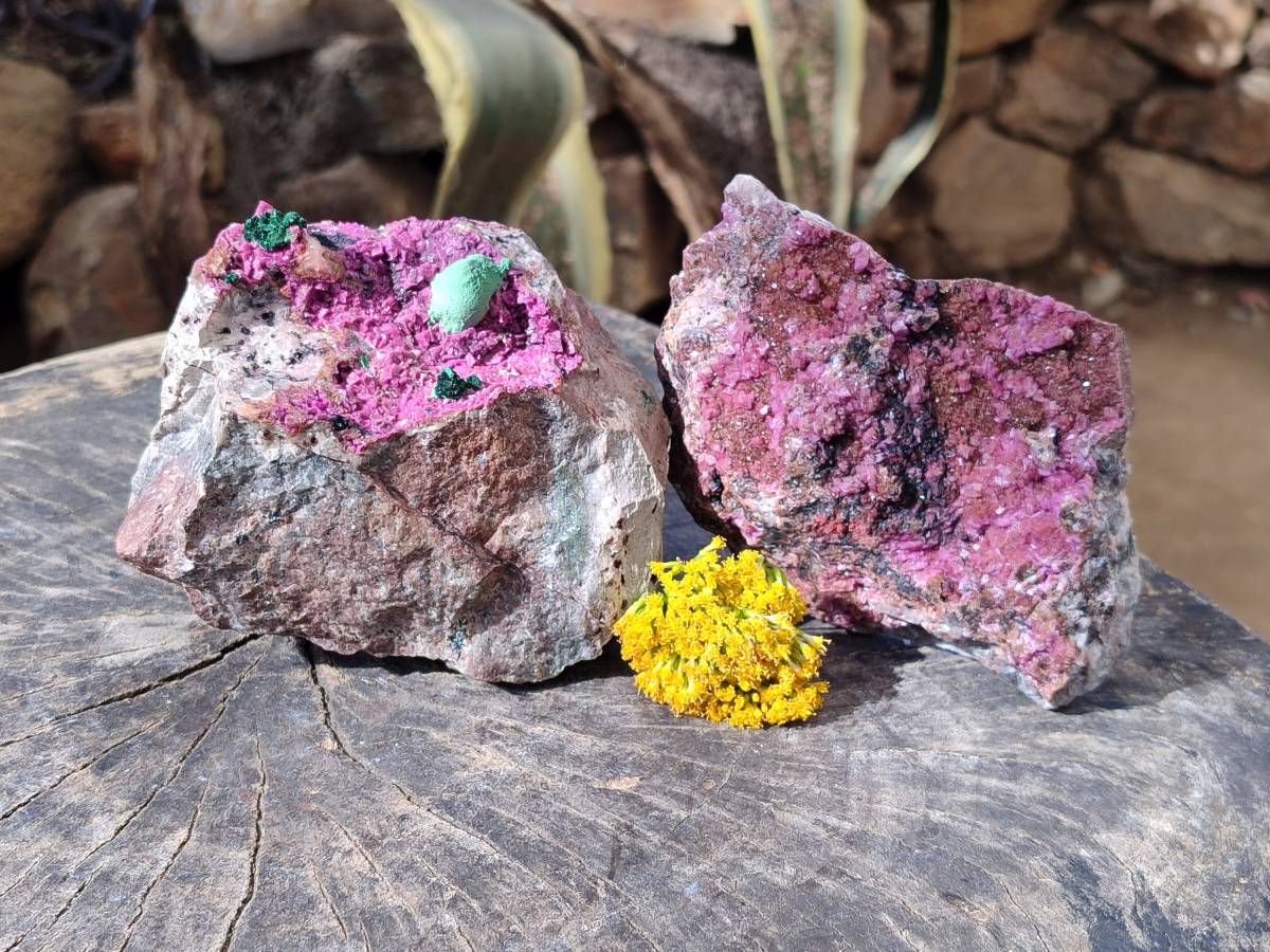 Natural Drusy Salrose on Dolomite Matrix Specimens x 2 From Kakanda, Congo - Toprock Gemstones and Minerals 