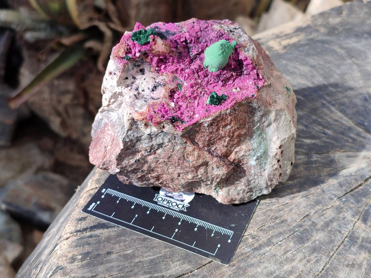 Natural Drusy Salrose on Dolomite Matrix Specimens x 2 From Kakanda, Congo - Toprock Gemstones and Minerals 