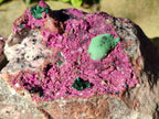 Natural Drusy Salrose on Dolomite Matrix Specimens x 2 From Kakanda, Congo - Toprock Gemstones and Minerals 