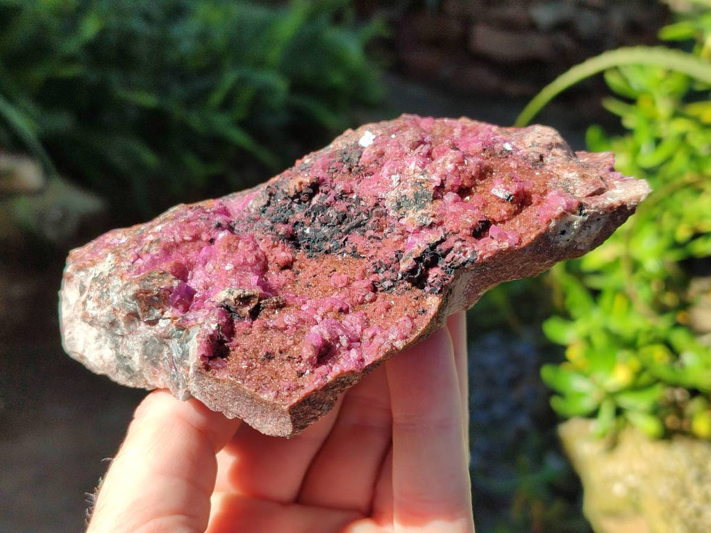 Natural Drusy Salrose on Dolomite Matrix Specimens x 2 From Kakanda, Congo - Toprock Gemstones and Minerals 