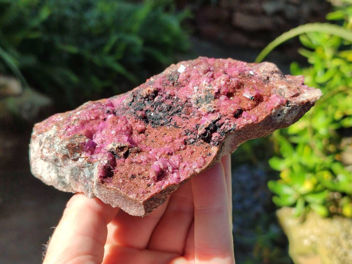 Natural Drusy Salrose on Dolomite Matrix Specimens x 2 From Kakanda, Congo - Toprock Gemstones and Minerals 