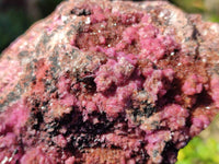 Natural Drusy Salrose on Dolomite Matrix Specimens x 2 From Kakanda, Congo - Toprock Gemstones and Minerals 
