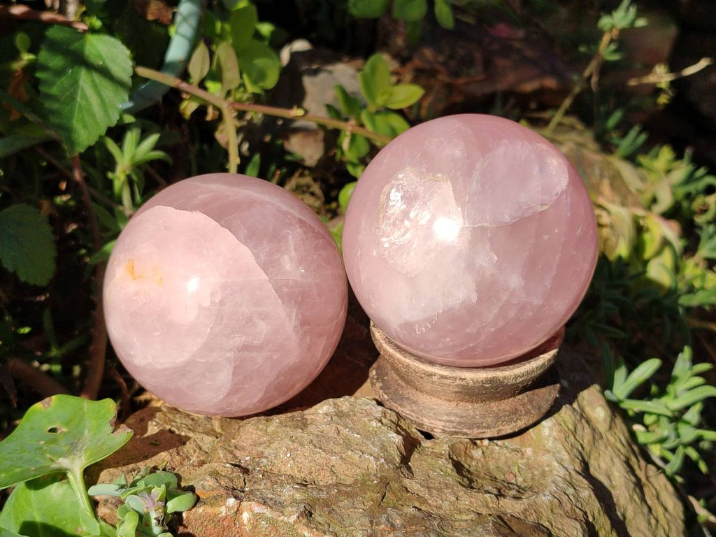 Polished Rose Quartz Spheres x 2 From Madagascar - Toprock Gemstones and Minerals 
