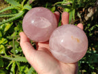 Polished Rose Quartz Spheres x 2 From Madagascar - Toprock Gemstones and Minerals 