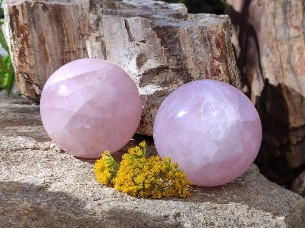 Polished Rose Quartz Spheres x 2 From Madagascar - Toprock Gemstones and Minerals 