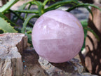 Polished Rose Quartz Spheres x 2 From Madagascar - Toprock Gemstones and Minerals 