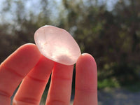 Polished Rose Quartz Tumbled Stones - sold per 1 kg - From South Africa - Toprock Gemstones and Minerals 