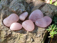 Polished Rose Quartz Tumbled Stones - sold per 1 kg - From South Africa - Toprock Gemstones and Minerals 