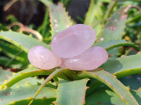 Polished Rose Quartz Tumbled Stones - sold per 1 kg - From South Africa - Toprock Gemstones and Minerals 
