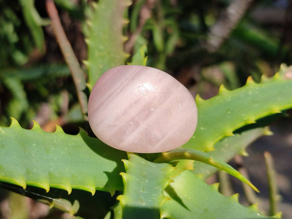 Polished Rose Quartz Tumbled Stones - sold per 1 kg - From South Africa - Toprock Gemstones and Minerals 
