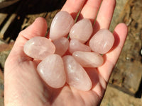 Polished Rose Quartz Tumbled Stones - sold per 1 kg - From South Africa - Toprock Gemstones and Minerals 