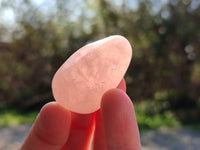 Polished Rose Quartz Tumbled Stones - sold per 1 kg - From South Africa - Toprock Gemstones and Minerals 