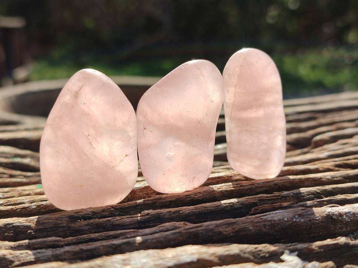 Polished Rose Quartz Tumbled Stones - sold per 1 kg - From South Africa - Toprock Gemstones and Minerals 
