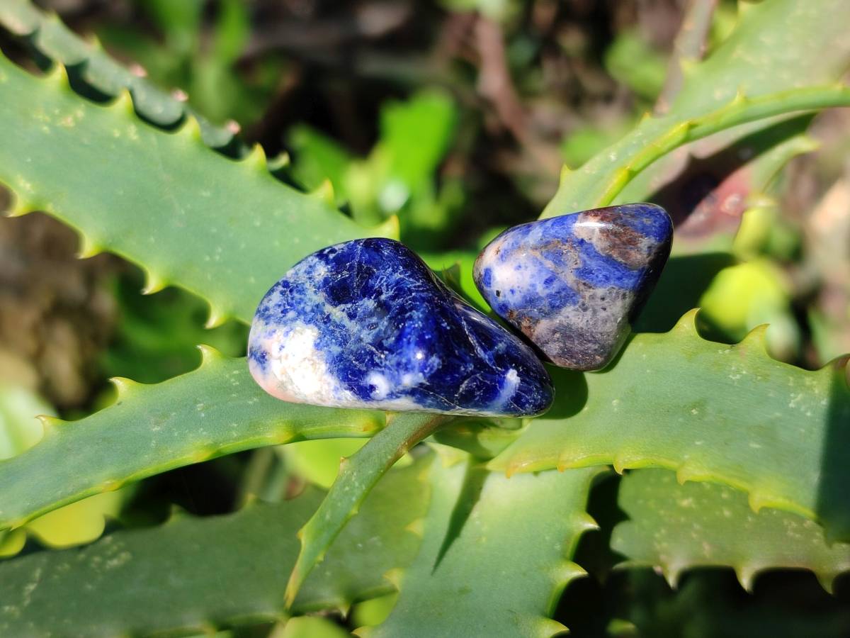 Polished Sodalite Tumbled Stones - Sold Per Kg - From Namibia - Toprock Gemstones and Minerals 