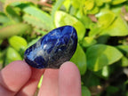 Polished Sodalite Tumbled Stones - Sold Per Kg - From Namibia - Toprock Gemstones and Minerals 