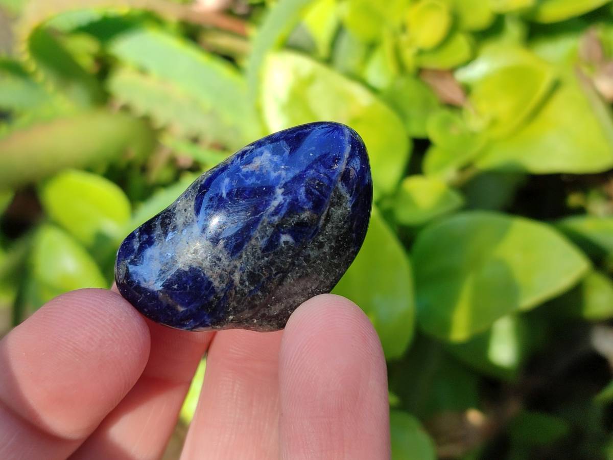 Polished Sodalite Tumbled Stones - Sold Per Kg - From Namibia - Toprock Gemstones and Minerals 