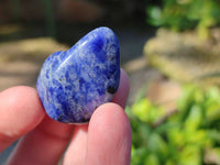 Polished Sodalite Tumbled Stones - Sold Per Kg - From Namibia - Toprock Gemstones and Minerals 