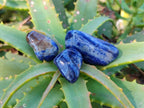 Polished Sodalite Tumbled Stones - Sold Per Kg - From Namibia - Toprock Gemstones and Minerals 