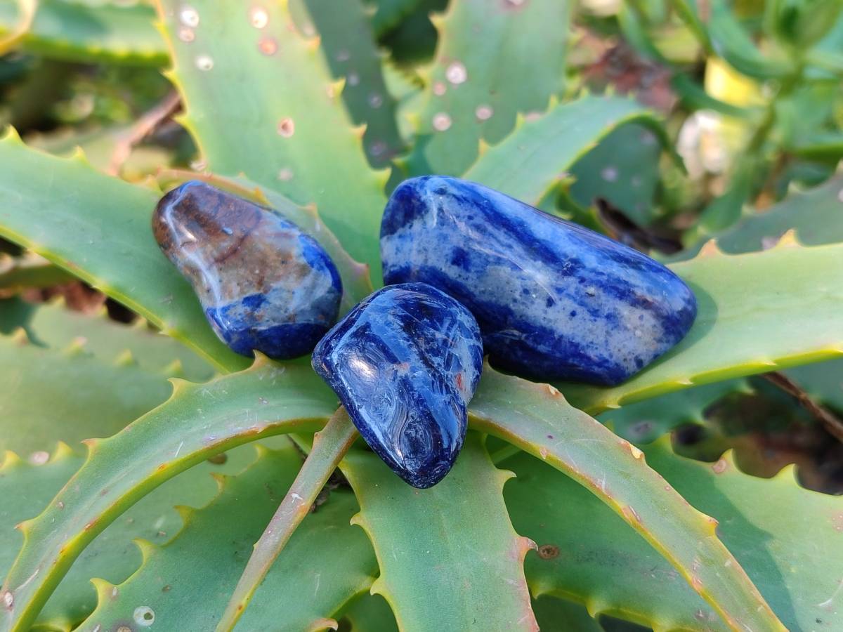 Polished Sodalite Tumbled Stones - Sold Per Kg - From Namibia - Toprock Gemstones and Minerals 