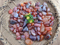Polished Red Sashe River Agate Tumbled Stones - sold per 1 kg - From Zimbabwe - Toprock Gemstones and Minerals 