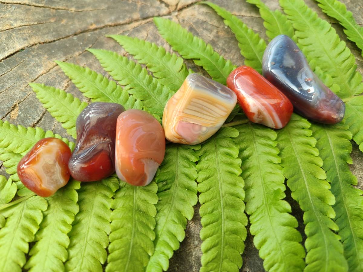 Polished Red Sashe River Agate Tumbled Stones - sold per 1 kg - From Zimbabwe - Toprock Gemstones and Minerals 