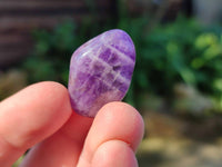 Polished Chevron Amethyst Tumble Stones - Sold per Kg - From Zambia - Toprock Gemstones and Minerals 