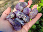 Polished Chevron Amethyst Tumble Stones - Sold per Kg - From Zambia - Toprock Gemstones and Minerals 