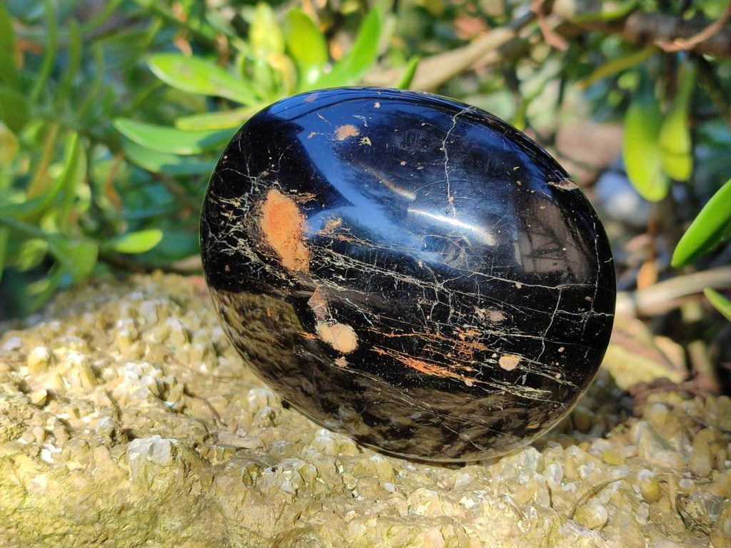 Polished Black Tourmaline Palm Stones x 6 From Madagascar - Toprock Gemstones and Minerals 