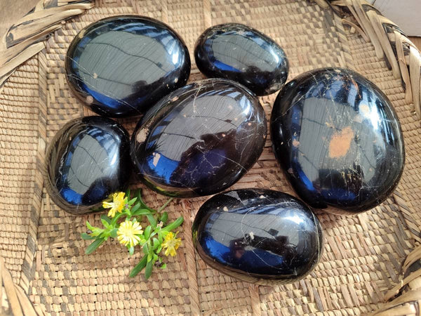 Polished Black Tourmaline Palm Stones x 6 From Madagascar - Toprock Gemstones and Minerals 