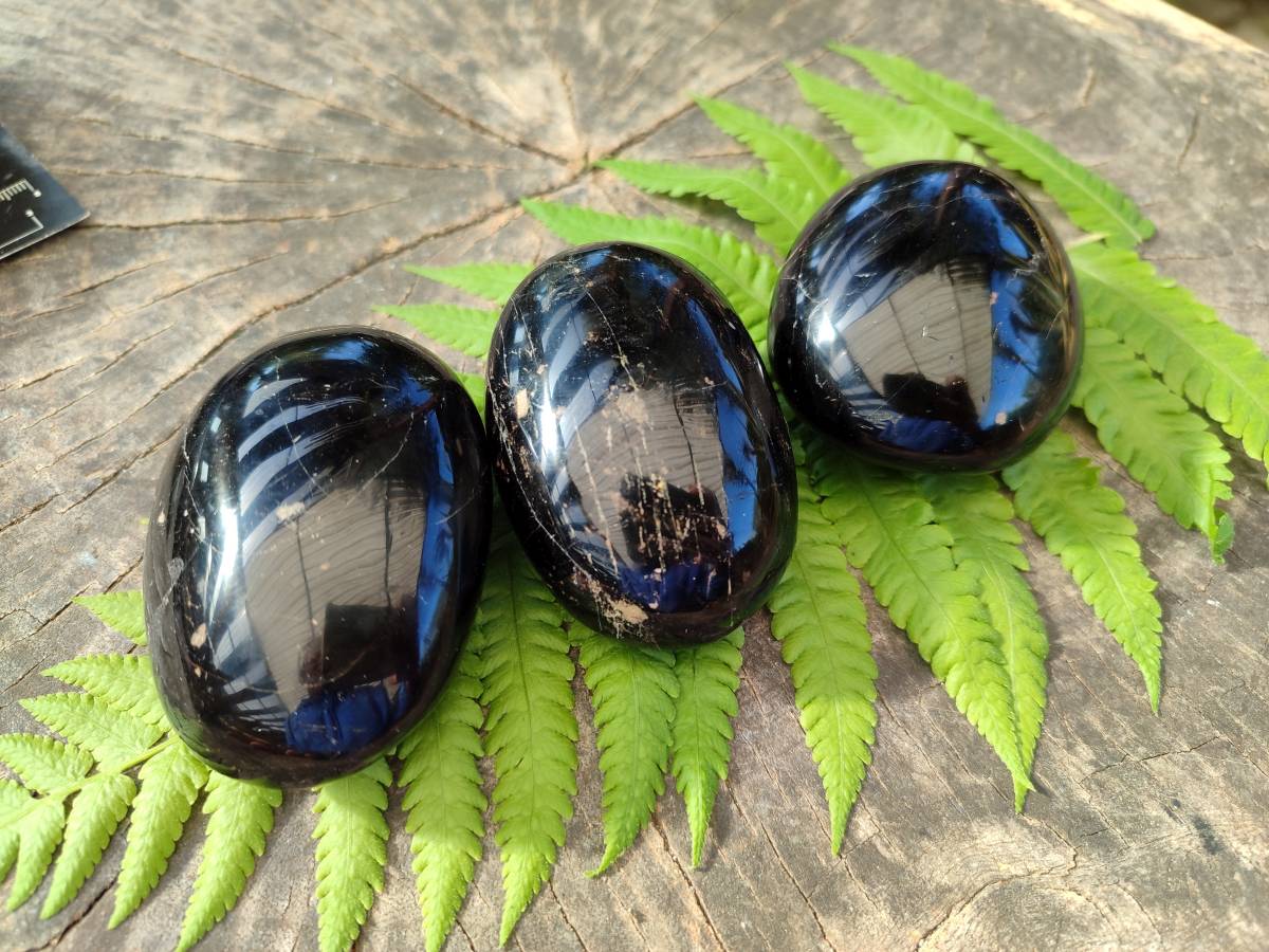 Polished Black Tourmaline Palm Stones x 6 From Madagascar - Toprock Gemstones and Minerals 