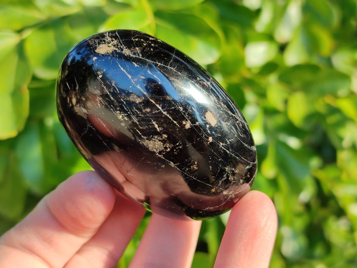 Polished Black Tourmaline Palm Stones x 6 From Madagascar - Toprock Gemstones and Minerals 