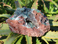 Natural Ball Malachite On Dolomite Matrix Specimens x 2 From Kambove, Congo