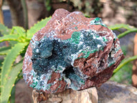 Natural Ball Malachite On Dolomite Matrix Specimens x 2 From Kambove, Congo