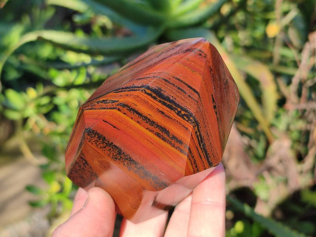 Polished Banded Tiger Iron Points x 6 From Northern Cape, South Africa - Toprock Gemstones and Minerals 