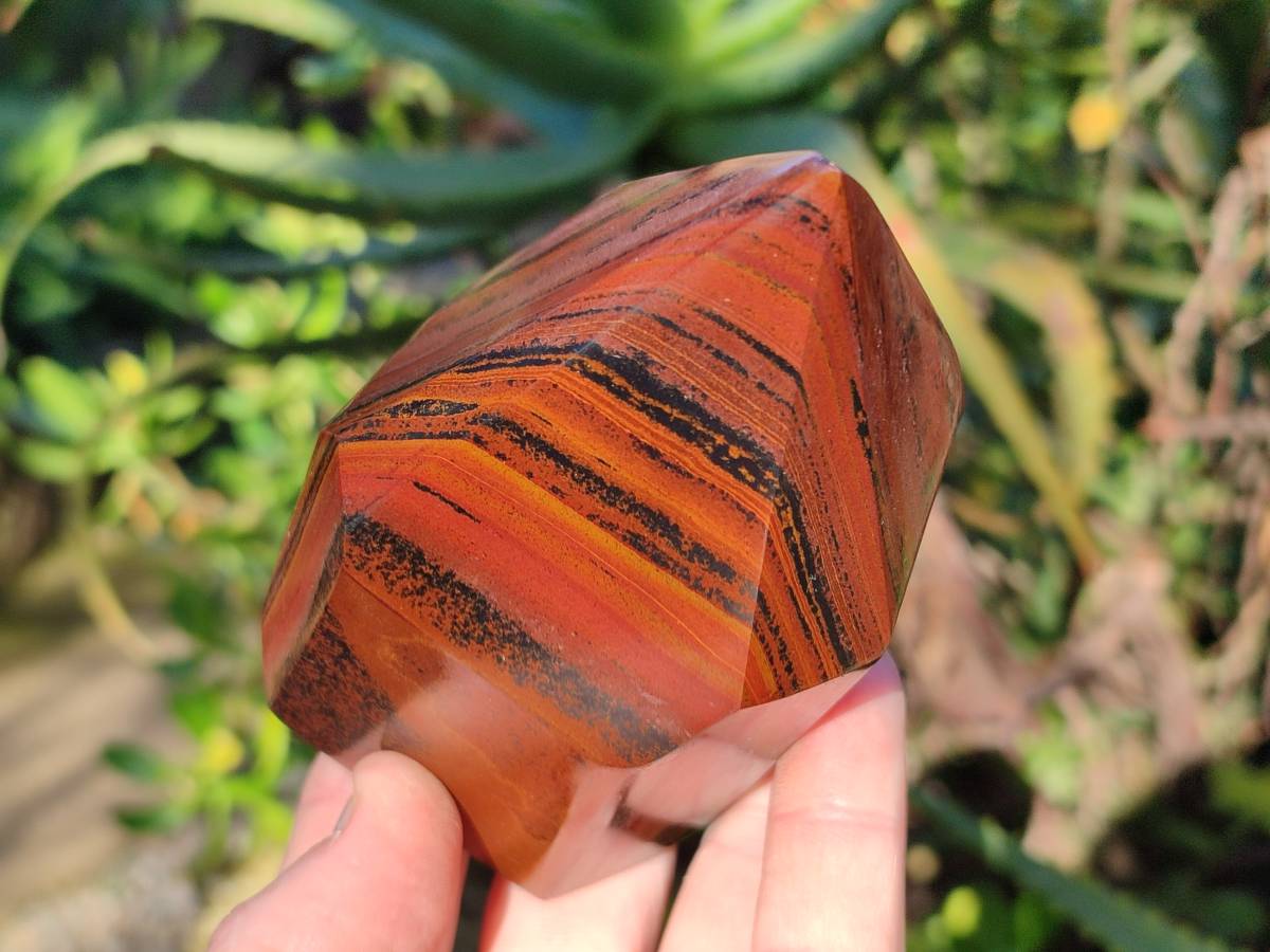 Polished Banded Tiger Iron Points x 6 From Northern Cape, South Africa - Toprock Gemstones and Minerals 
