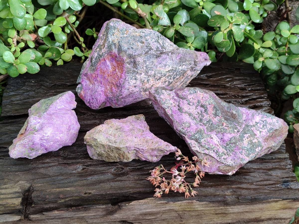 Natural Stichtite Cobbed Specimens x 4 From Barberton, South Africa - Toprock Gemstones and Minerals 