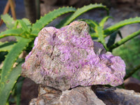 Natural Stichtite Cobbed Specimens x 4 From Barberton, South Africa - Toprock Gemstones and Minerals 