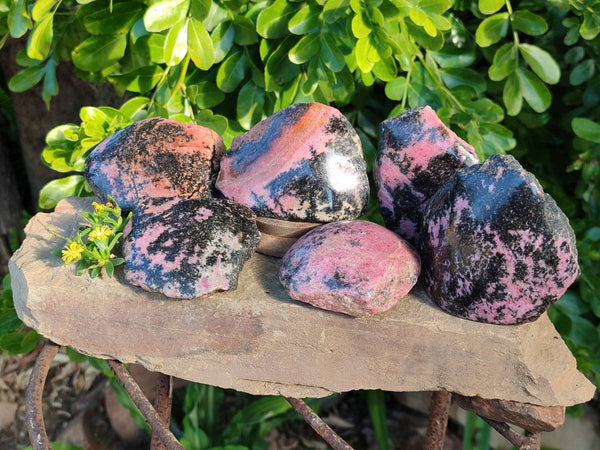 Polished on One Side Rhodonite Nodules x 6 From Ambindavato, Madagascar
