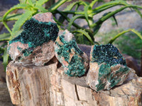 Natural Super Rare Crystalline Malachite Specimens x 6 From Congo - Toprock Gemstones and Minerals 