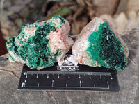 Natural Super Rare Crystalline Malachite Specimens x 6 From Congo - Toprock Gemstones and Minerals 
