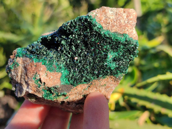 Natural Super Rare Crystalline Malachite Specimens x 6 From Congo