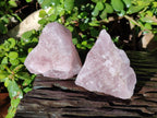 Natural Pink Rose Quartz Cobbed Specimens x 12 From North Cape, South Africa - Toprock Gemstones and Minerals 