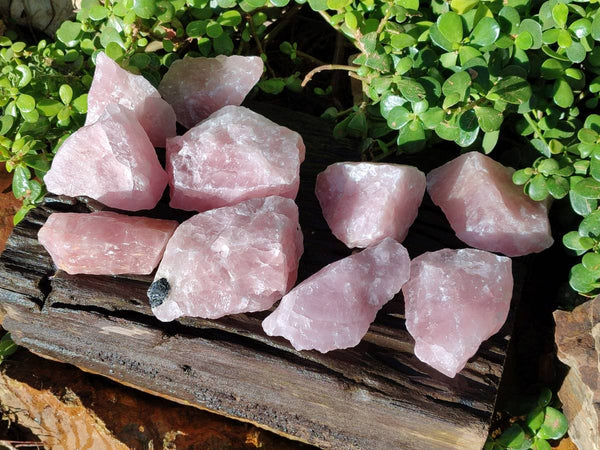 Natural Pink Rose Quartz Cobbed Specimens x 12 From North Cape, South Africa