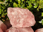 Natural Pink Rose Quartz Cobbed Specimens x 12 From North Cape, South Africa - Toprock Gemstones and Minerals 