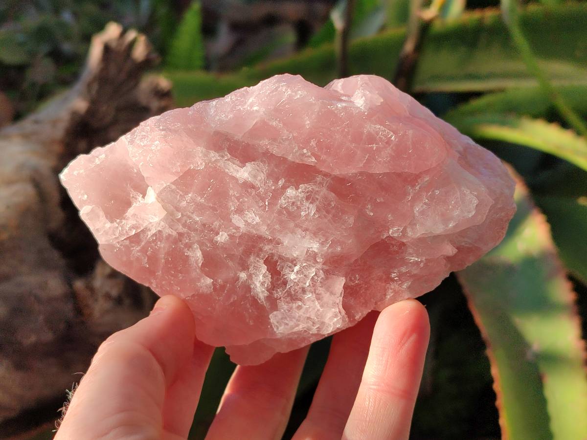 Natural Pink Rose Quartz Cobbed Specimens x 12 From North Cape, South Africa - Toprock Gemstones and Minerals 